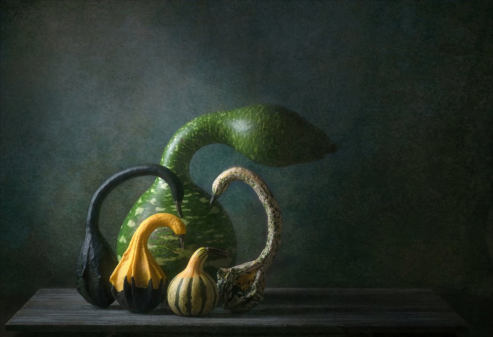 Autumn Gourds Still Life by Catherine Wang