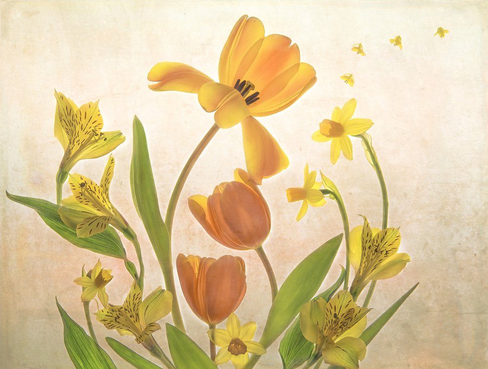 Golden Spring Flowers by Catherine Wang
