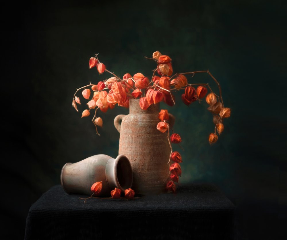Rustic Chinese Lanterns Still Life by Catherine Wang