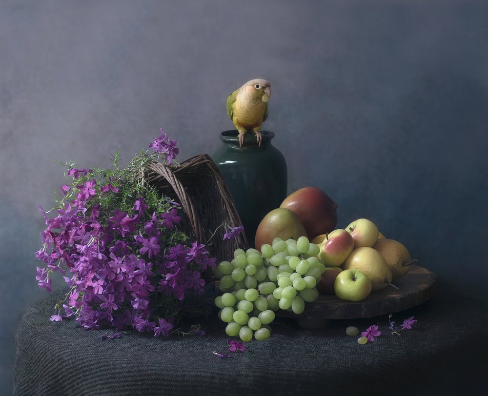 Still Life with Parrot by Catherine Wang