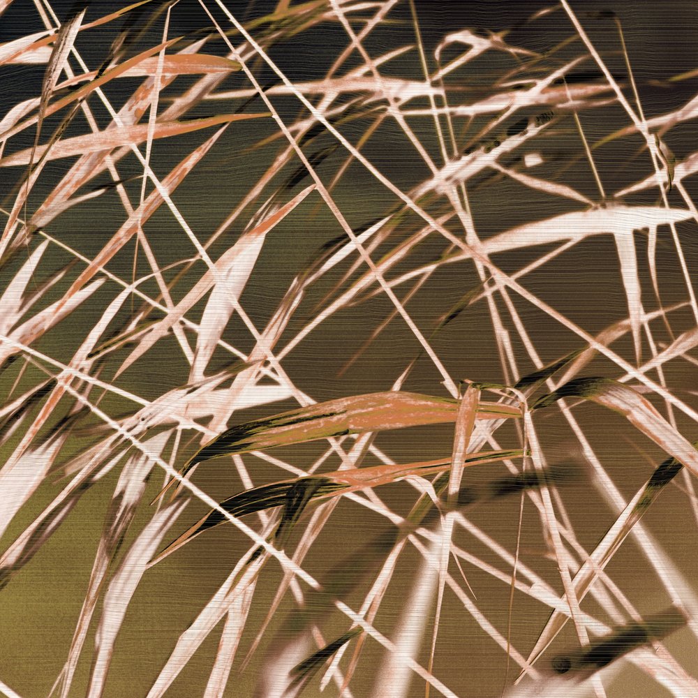Abstract Reed Patterns by Christina Sillen