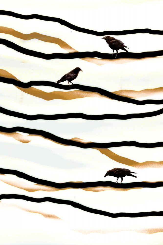Birds on Golden Waves by Christina Sillen