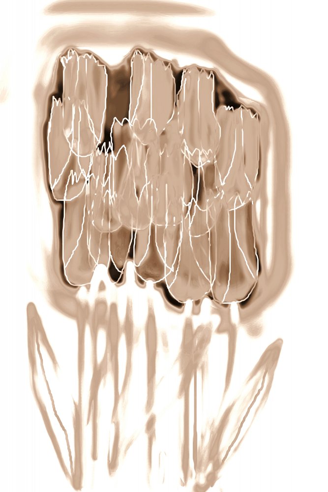 Delicate Sepia Flowers by Christina Sillen