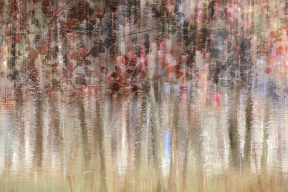 Dreamy Autumn Reflections by Christina Sillen