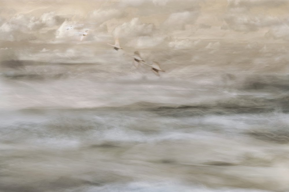 Dreamy Birds Over Water by Christina Sillen