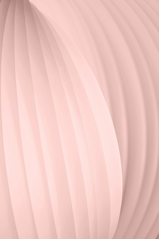 Elegant Abstract Curves by Christina Sillen