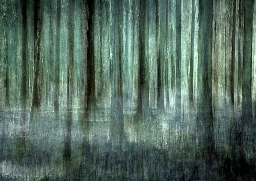 Ethereal Forest Blur by Christina Sillen