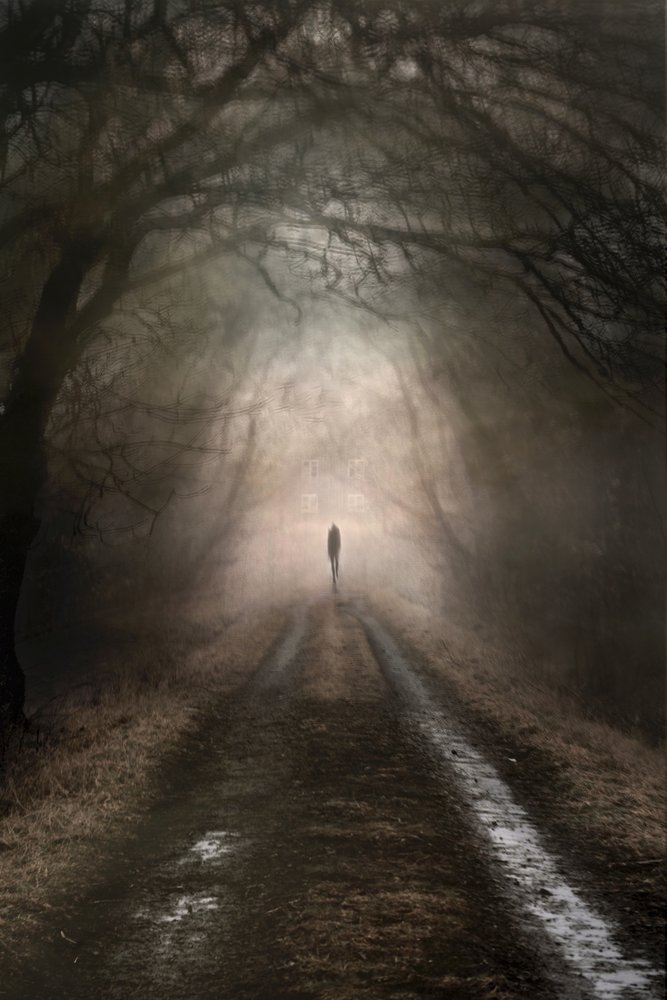 Lone Figure Misty Path by Christina Sillen