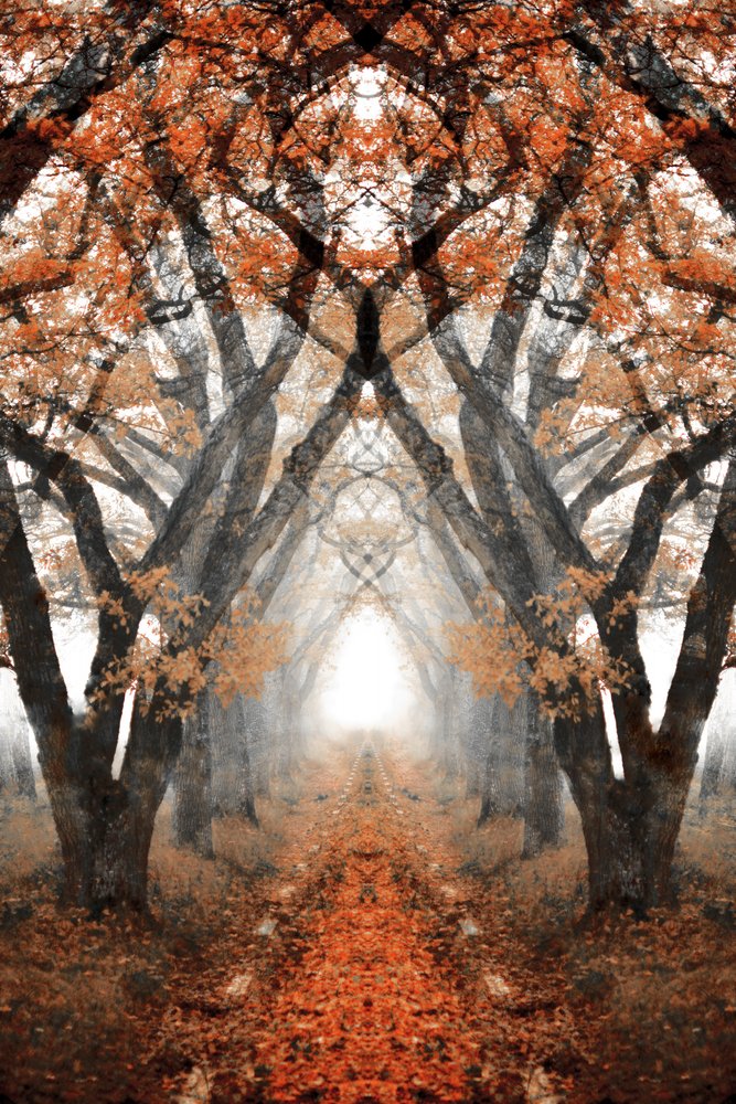 Misty Autumn Path by Christina Sillen