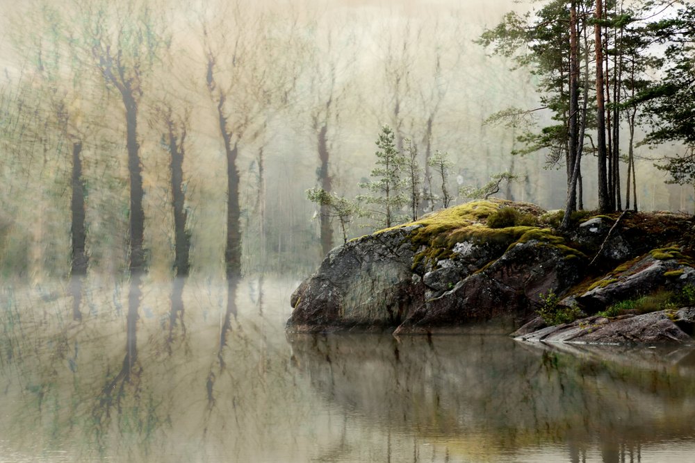 Misty Forest Lake by Christina Sillen