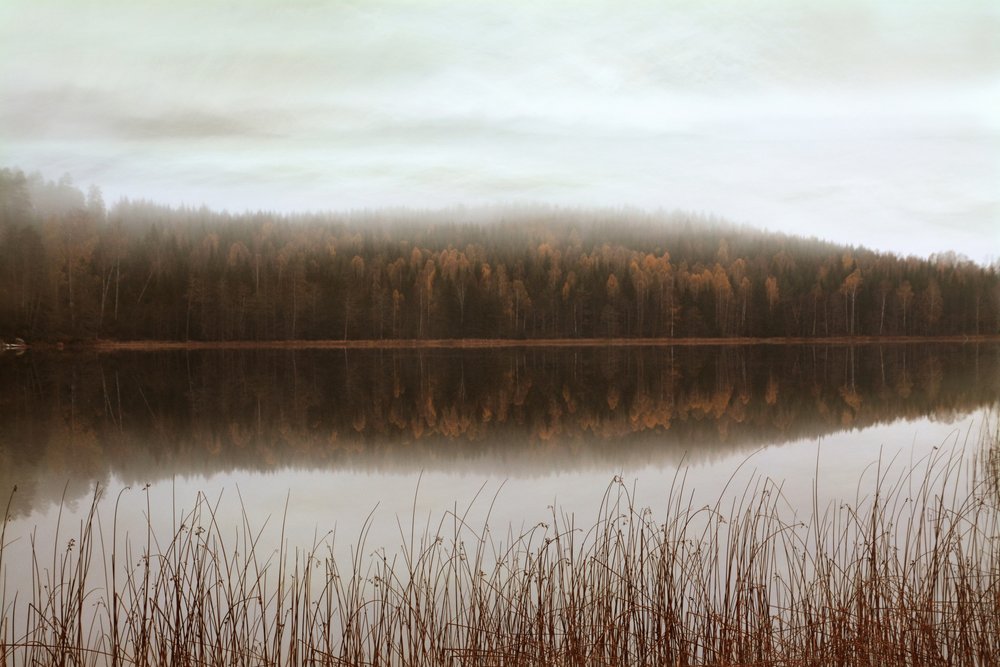 Misty Forest Reflections by Christina Sillen