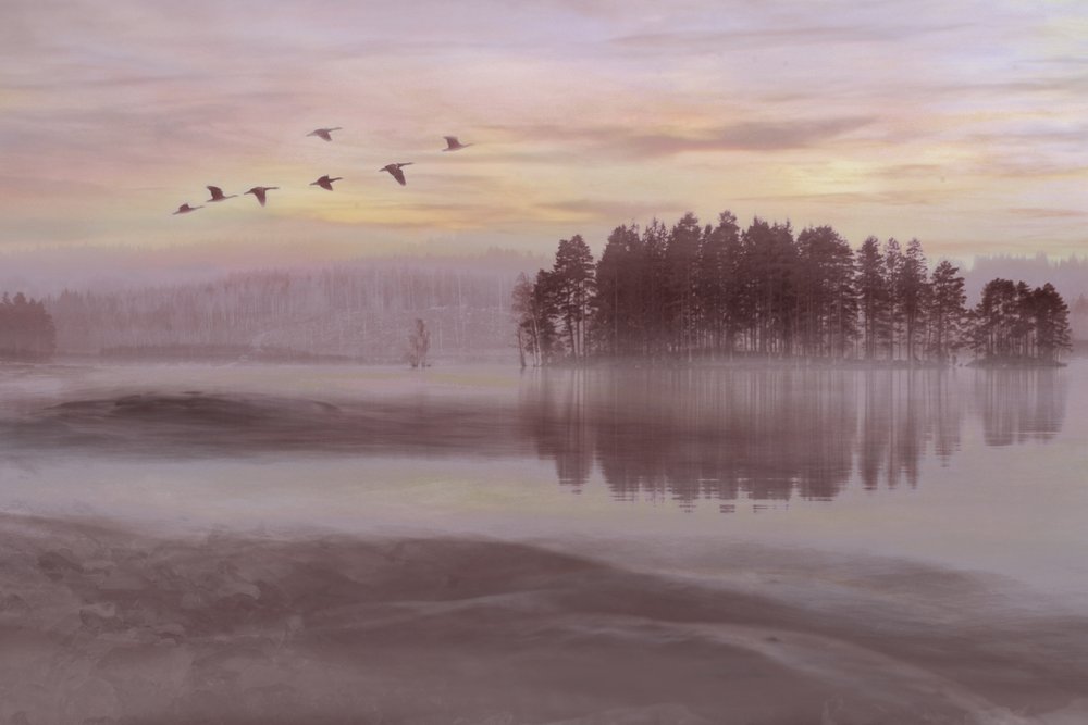 Misty Lake Bird Flight by Christina Sillen