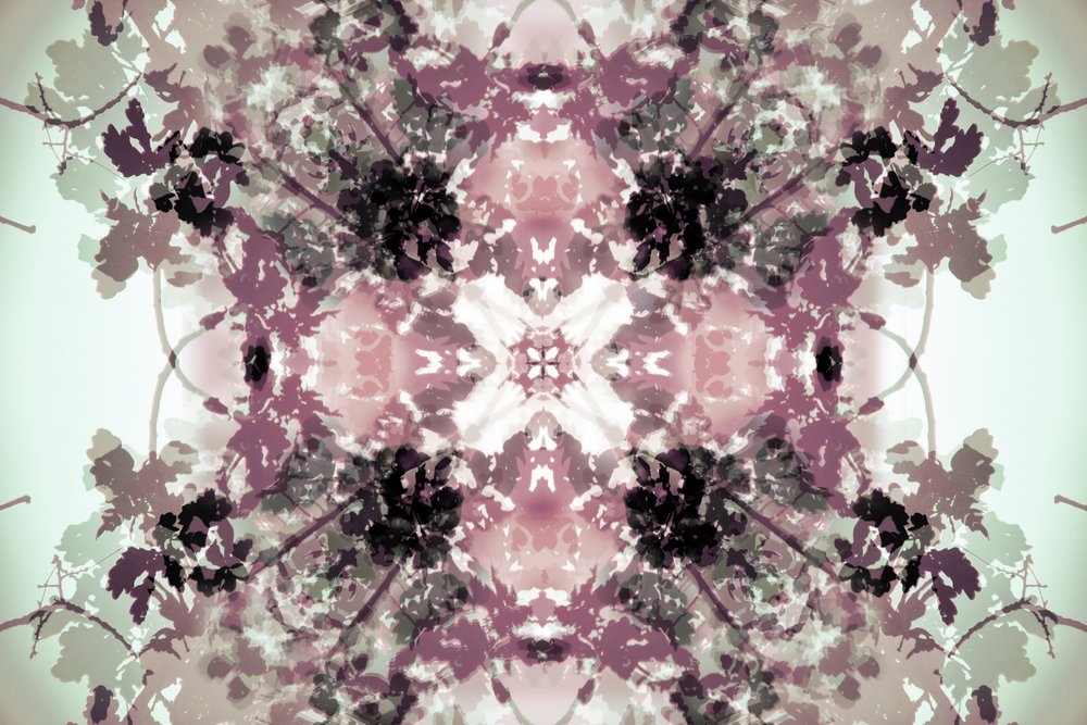 Muted Botanical Symmetry by Christina Sillen