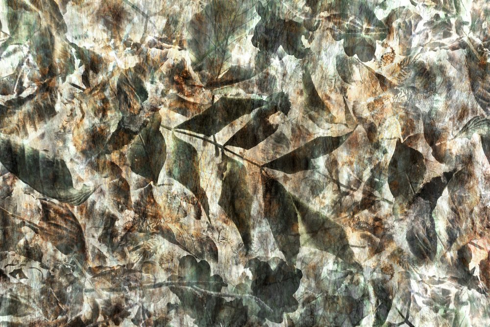 Natural Leaf Pattern by Christina Sillen