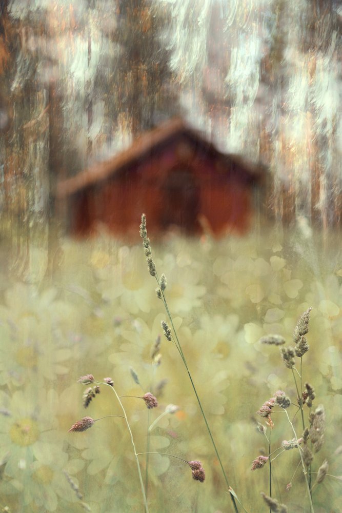 Peaceful Barn Field by Christina Sillen