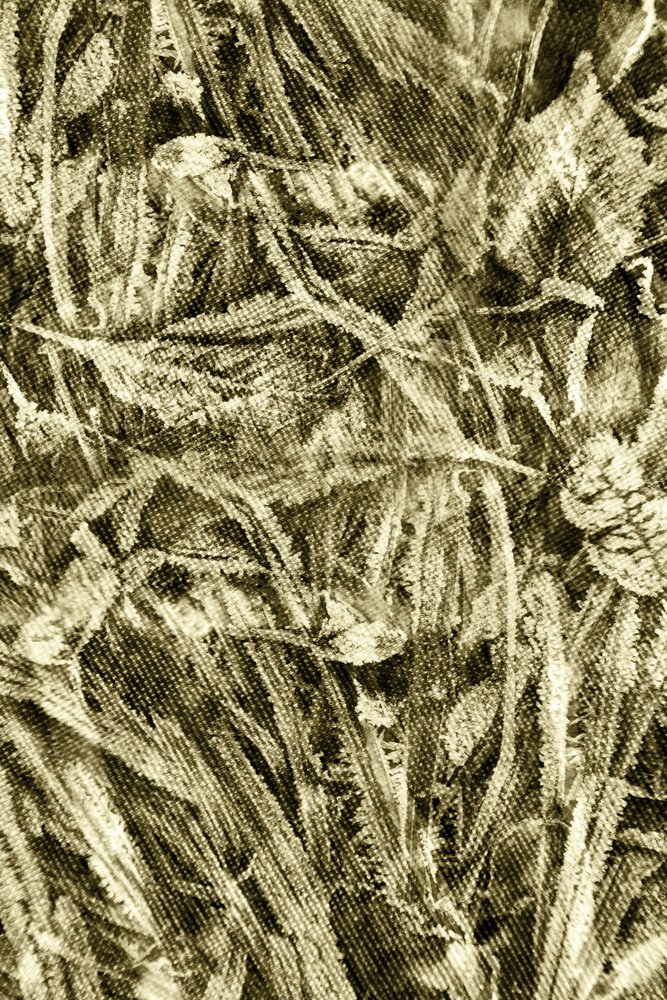Rustic Leaf Texture by Christina Sillen