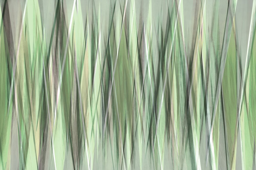 Serene Green Blades by Christina Sillen