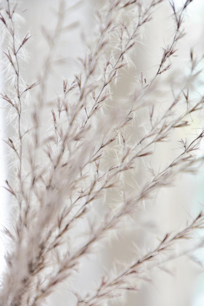 Soft Botanical Serenity by Christina Sillen