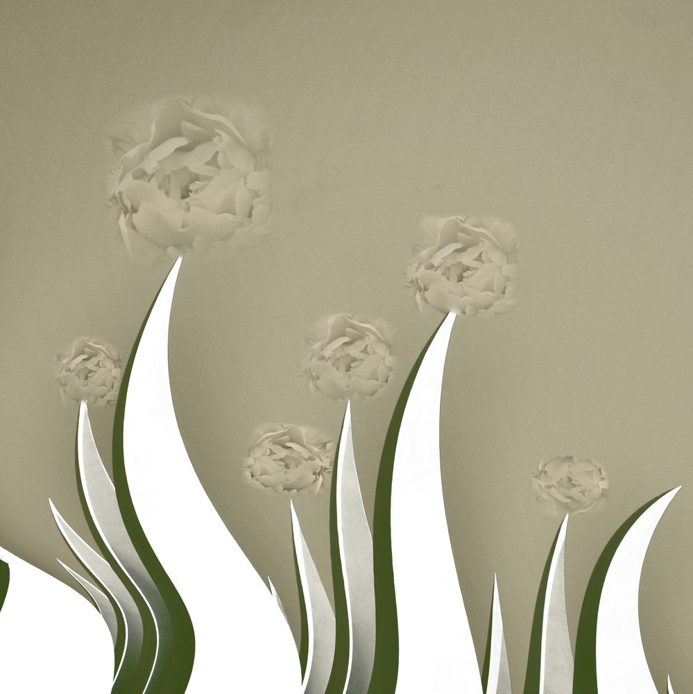 Subtle Cream Blooms by Christina Sillen