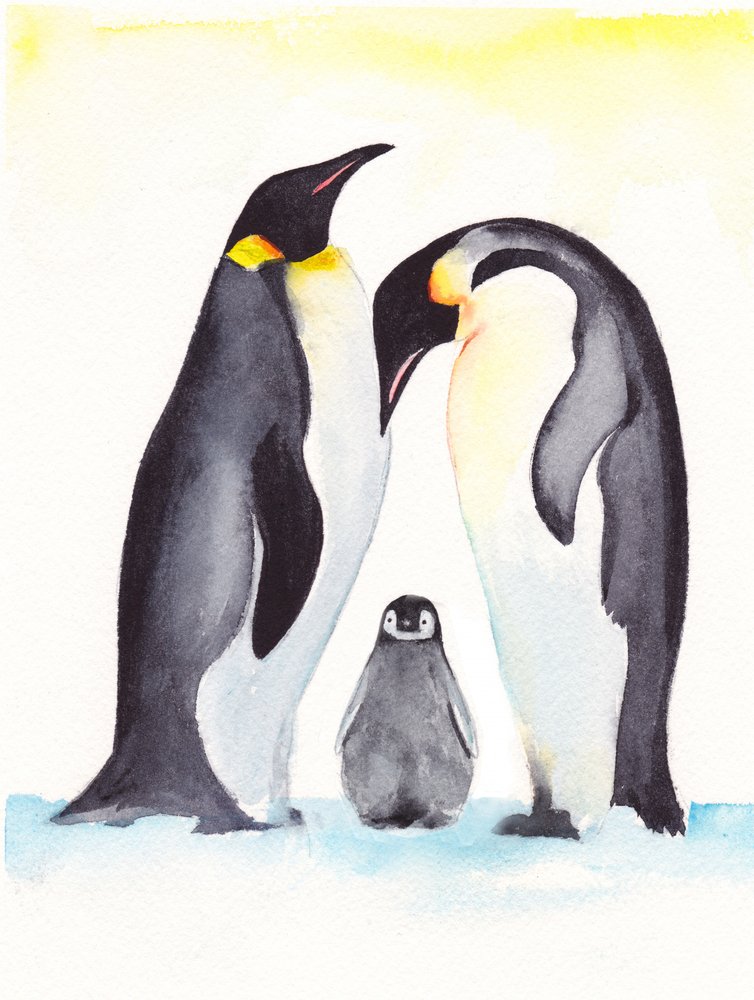 Penguin Family Portrait by Christine Lindstrom