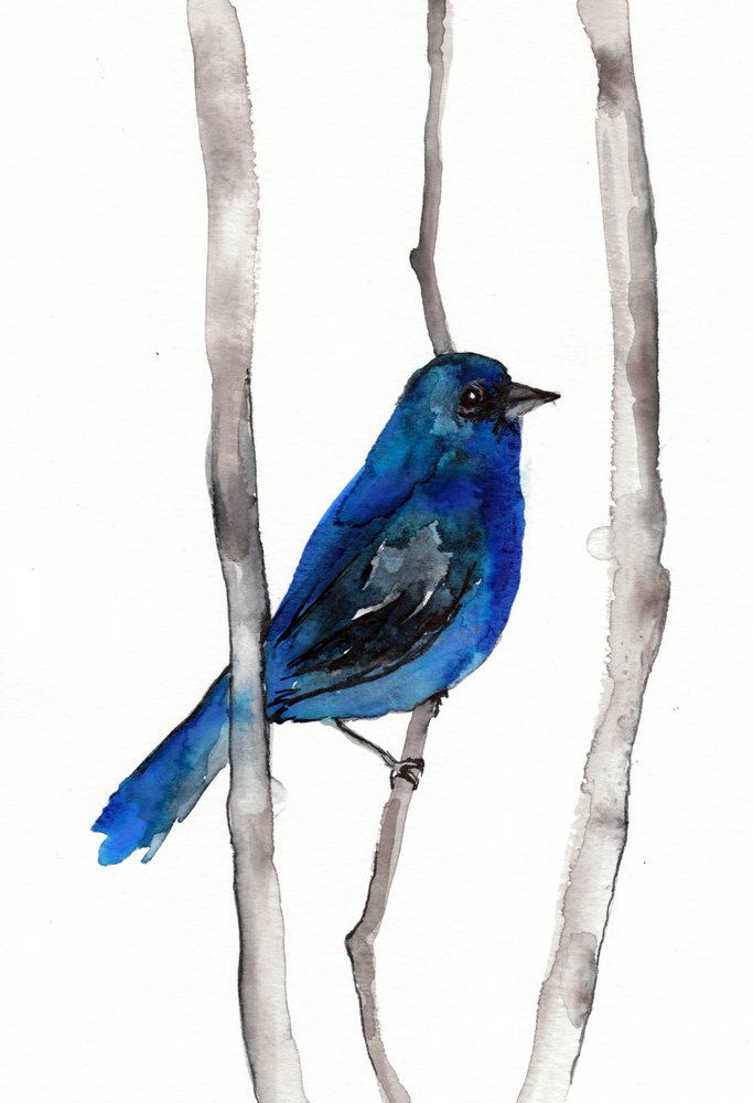 Vibrant Blue Songbird by Christine Lindstrom