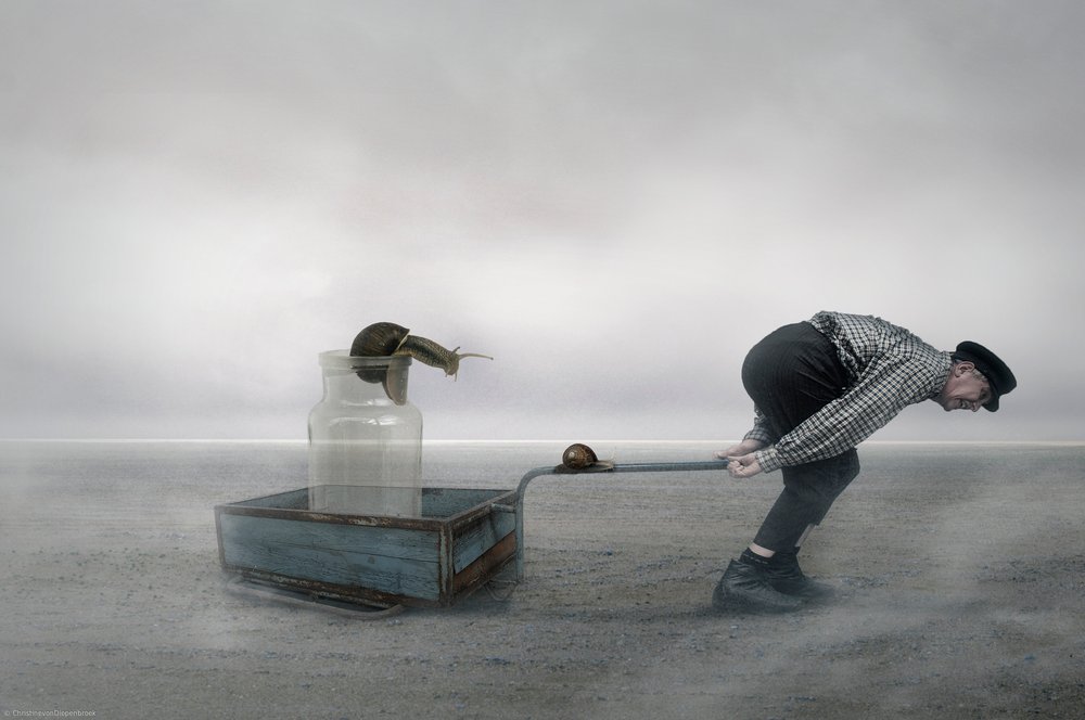 Absurd Snail Journey by Christine von Diepenbroek