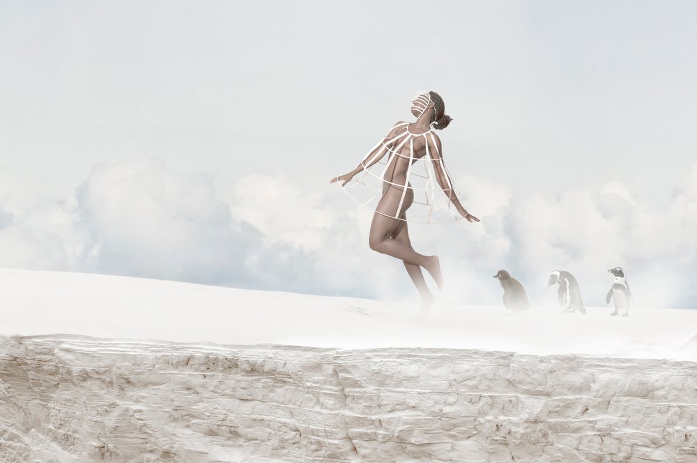 Flying Woman Penguins by Christine von Diepenbroek