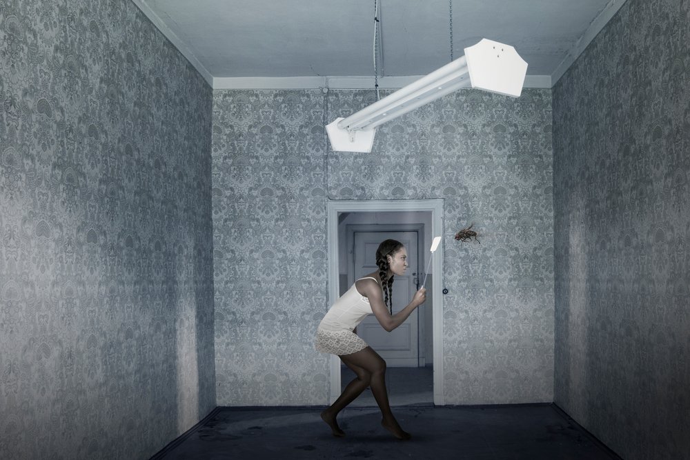 Giant Insect Intruder by Christine von Diepenbroek