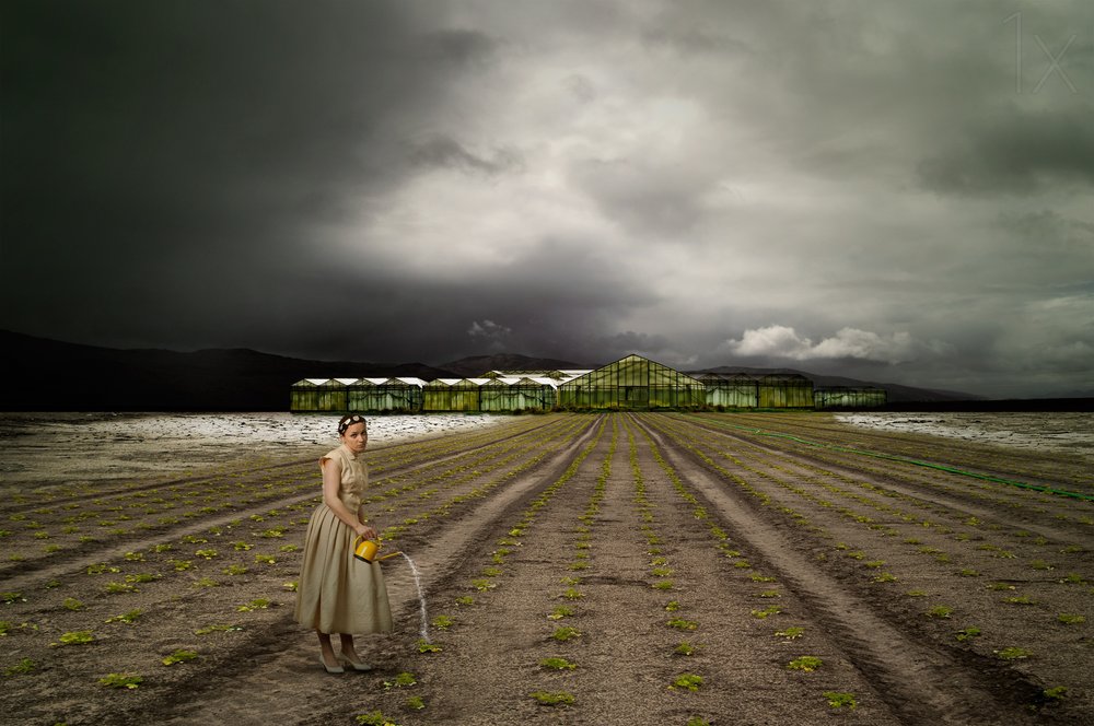 Solitary Gardener Stormy Field by Christine von Diepenbroek