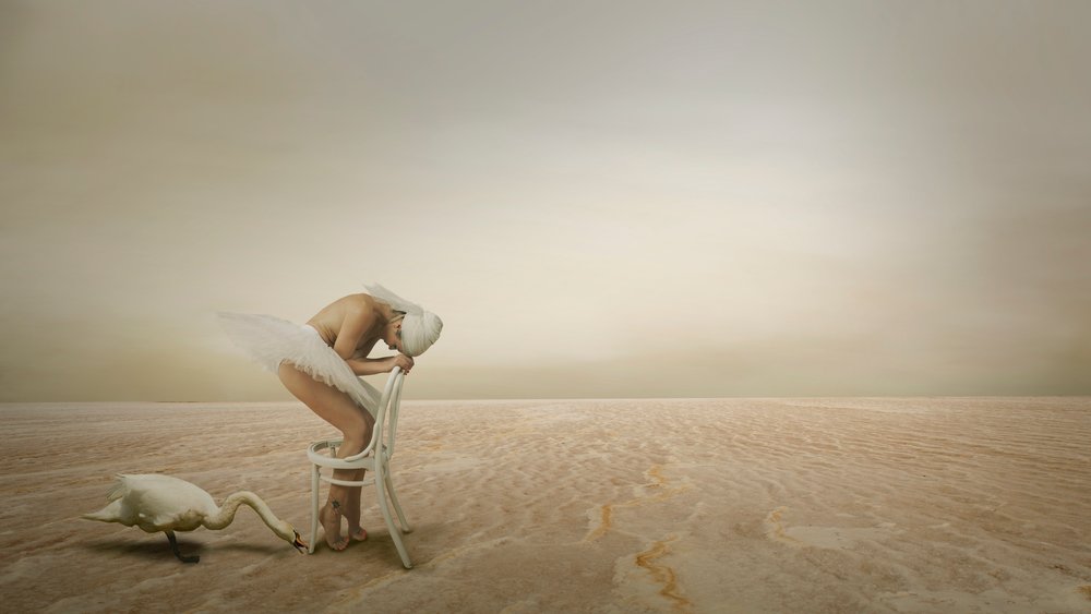 Swan Dancer Solitude by Christine von Diepenbroek
