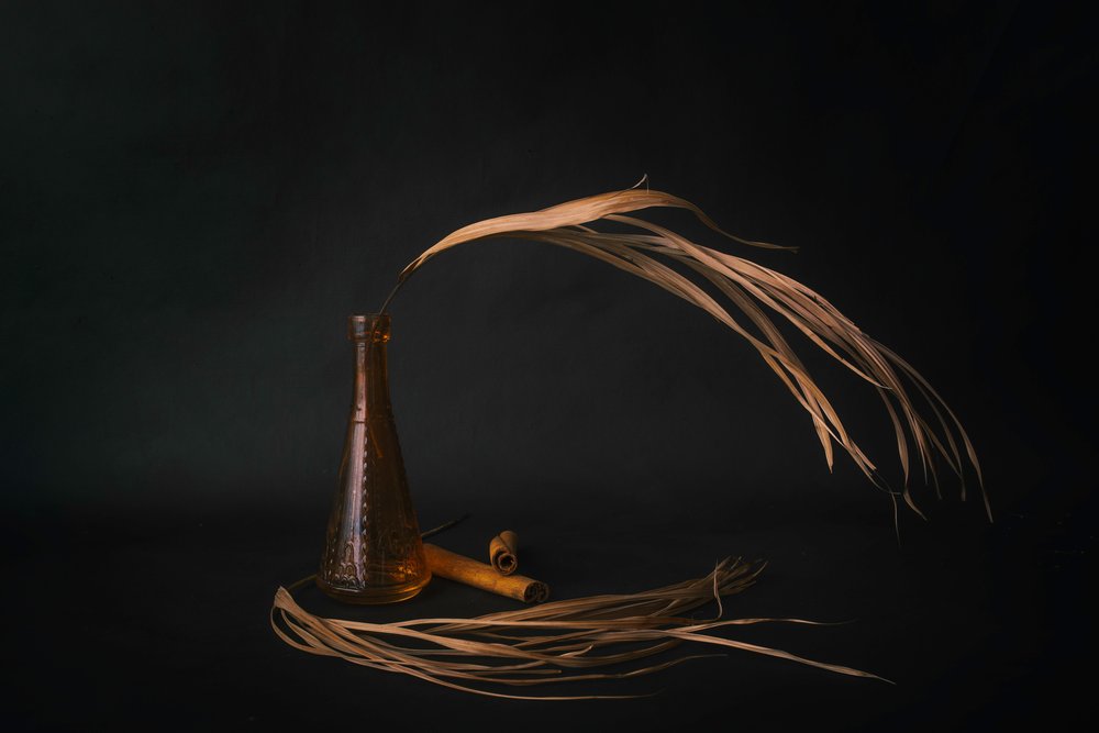 Amber Bottle Dried Botanicals by Cicek Kiral