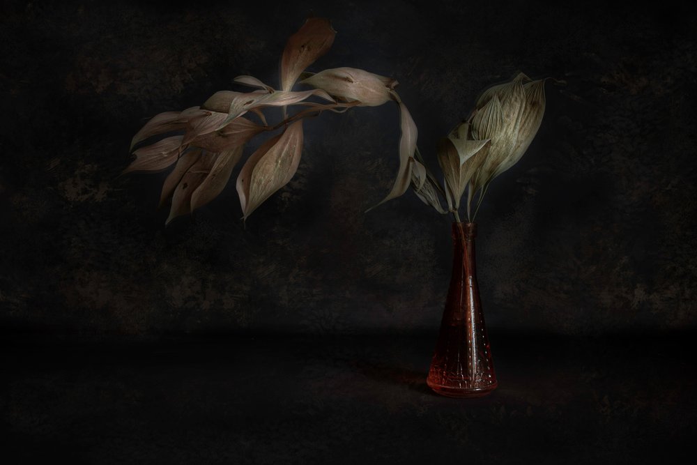 Dark Botanical Still Life by Cicek Kiral