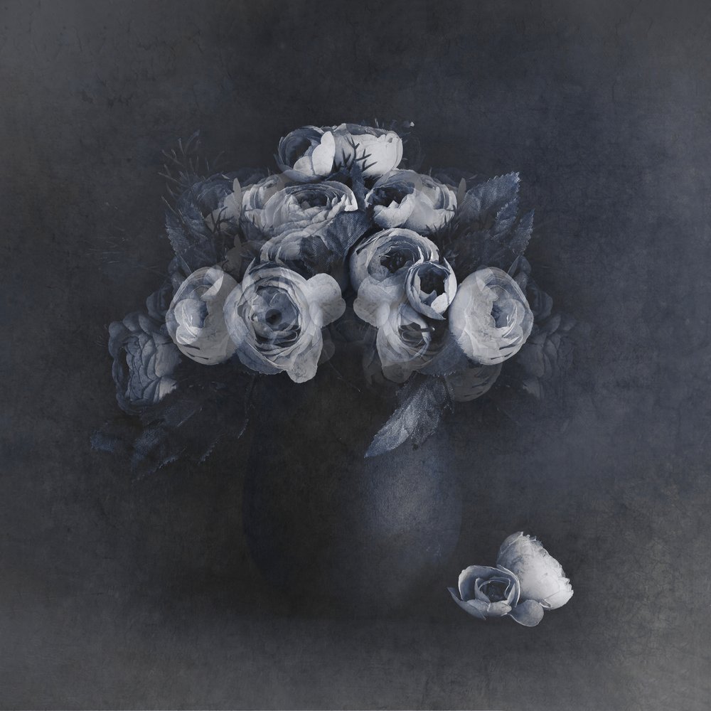 Elegant Grey Blooms by Cicek Kiral