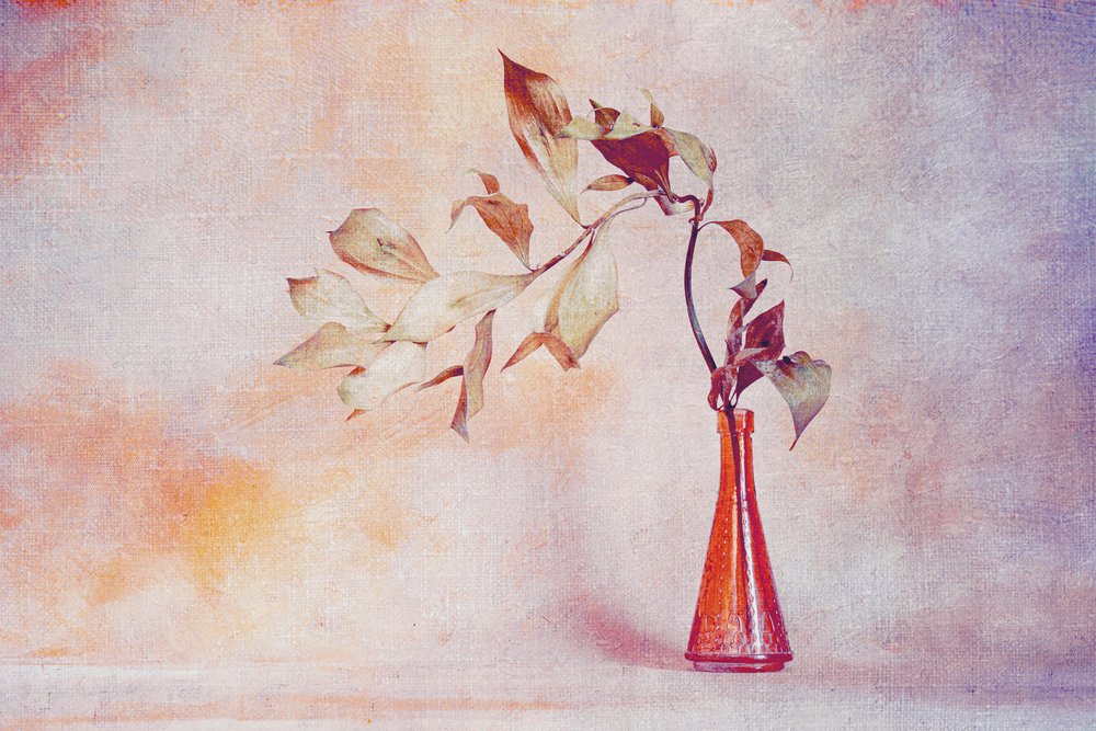 Faded Leaves Orange Vase by Cicek Kiral