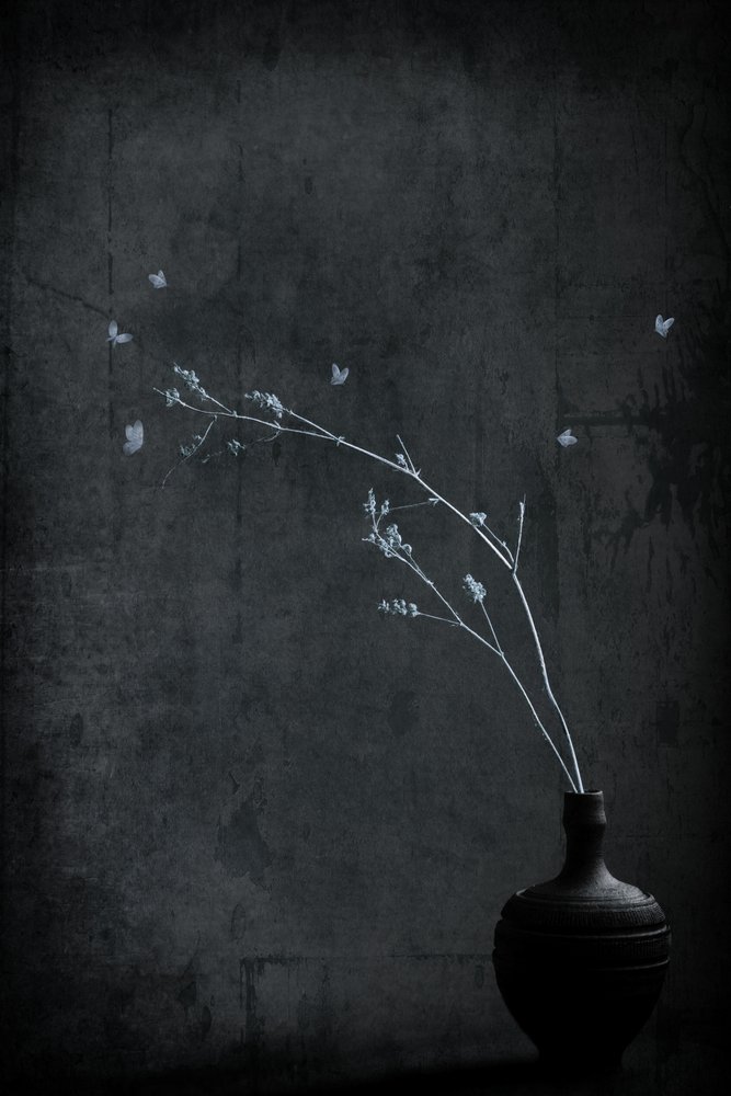 Minimalist Branch With Butterflies by Cicek Kiral