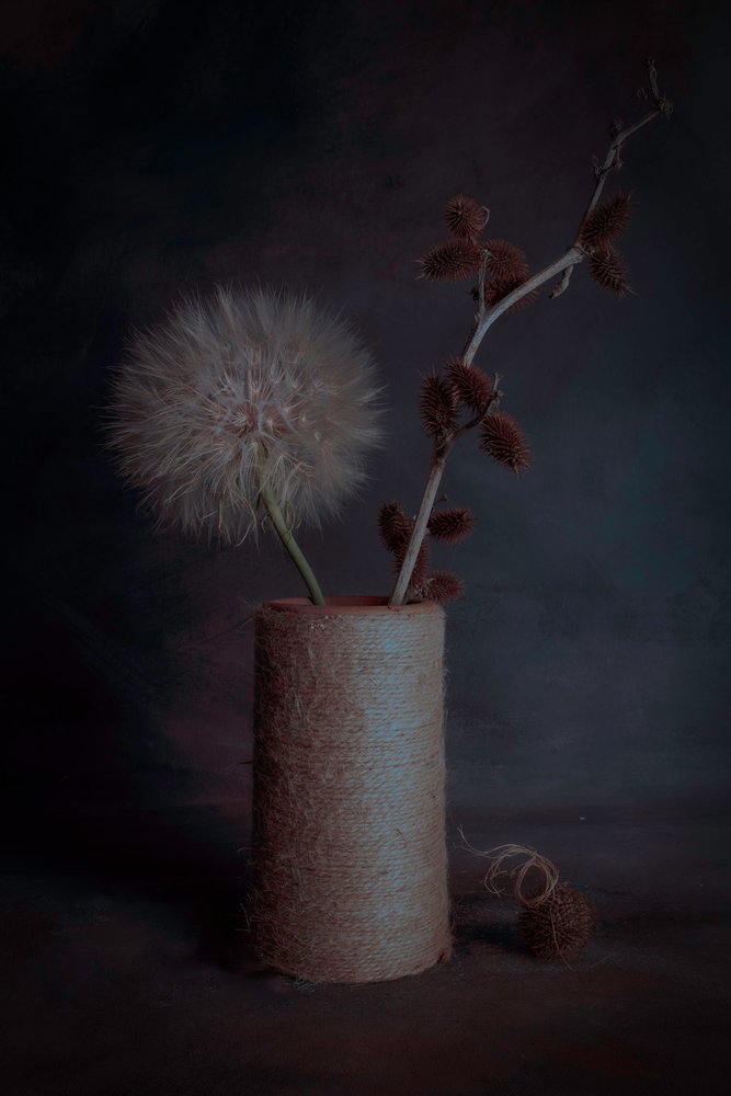 Moody Botanical Still Life by Cicek Kiral