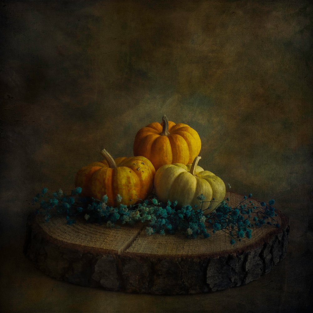 Moody Harvest Pumpkins by Cicek Kiral