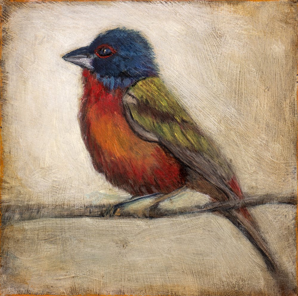 Colorful Painted Bunting by Claire Lerner