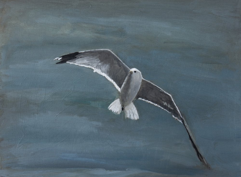 Seagull Soaring Over Water by Claire Lerner