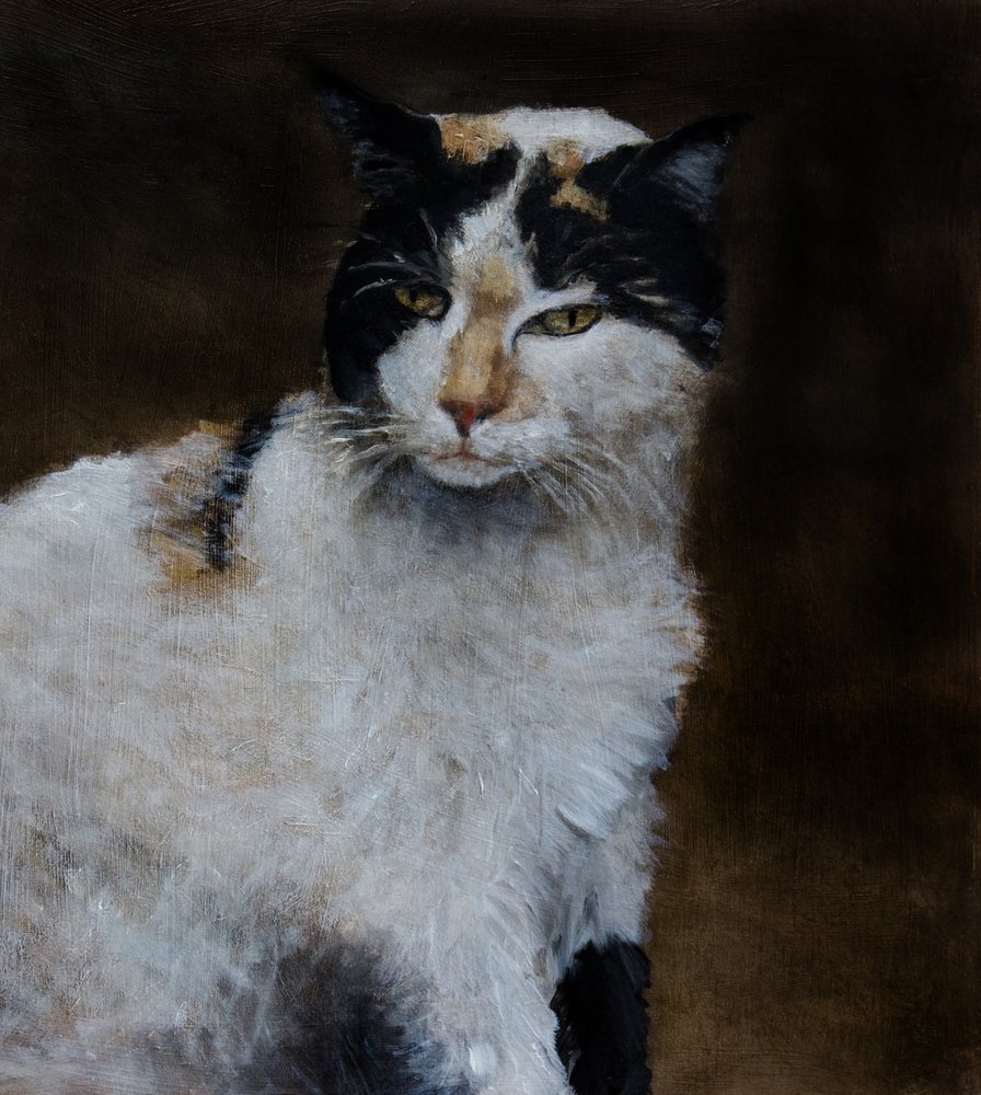 Watchful Calico Cat by Claire Lerner