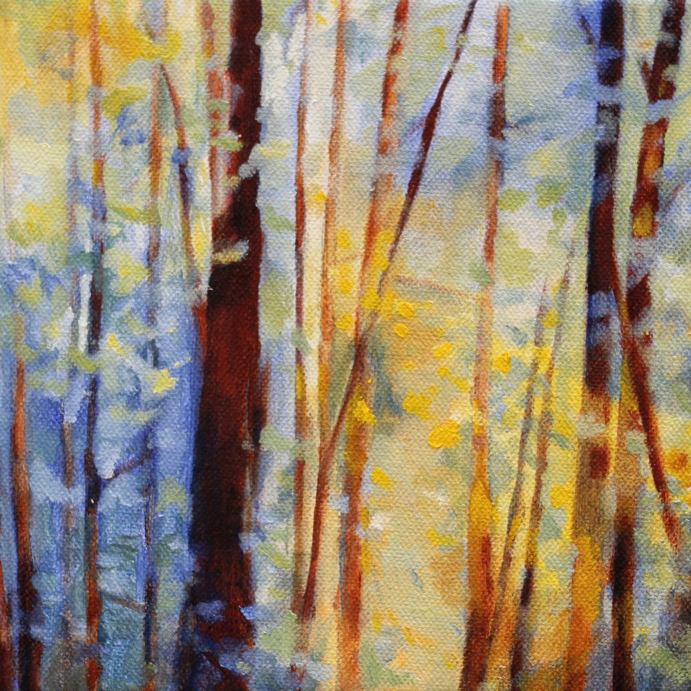 Golden Forest Light by Claire Whitehead