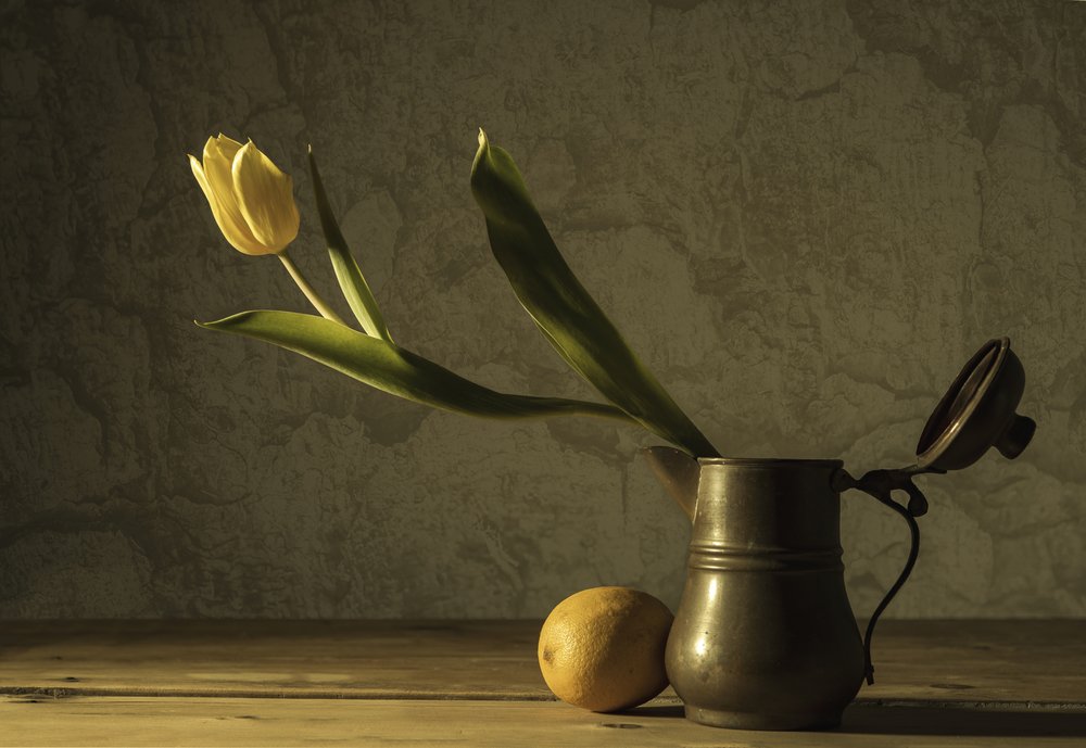 Yellow Tulip Still Life by Codruta Georgescu