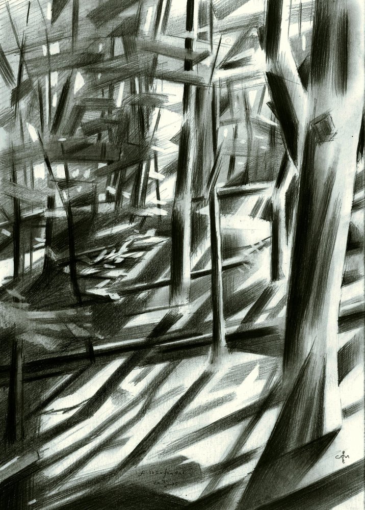 Abstract Forest Shadows by Corné Akkers