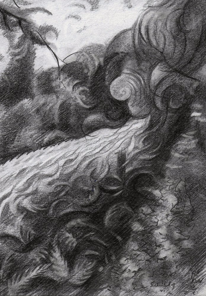 Dark Forest Stream Flow by Corné Akkers