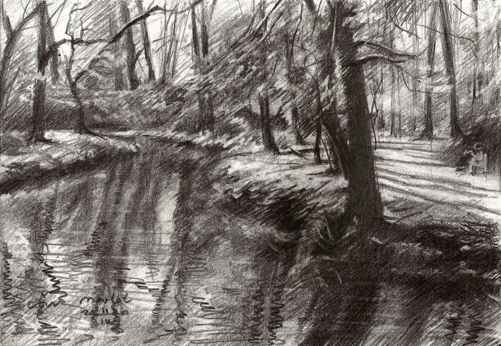 Forest Stream Reflections by Corné Akkers