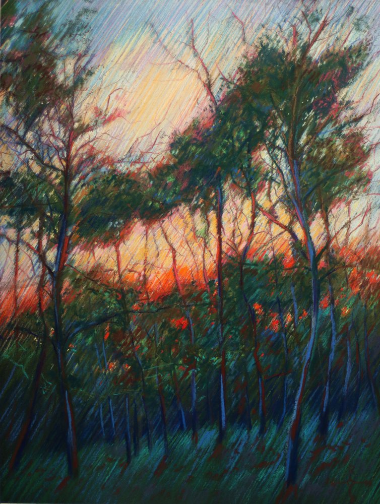 Forest Sunset Glow by Corné Akkers