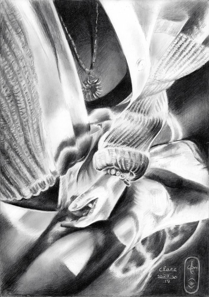 Hands in Light and Shadow by Corné Akkers