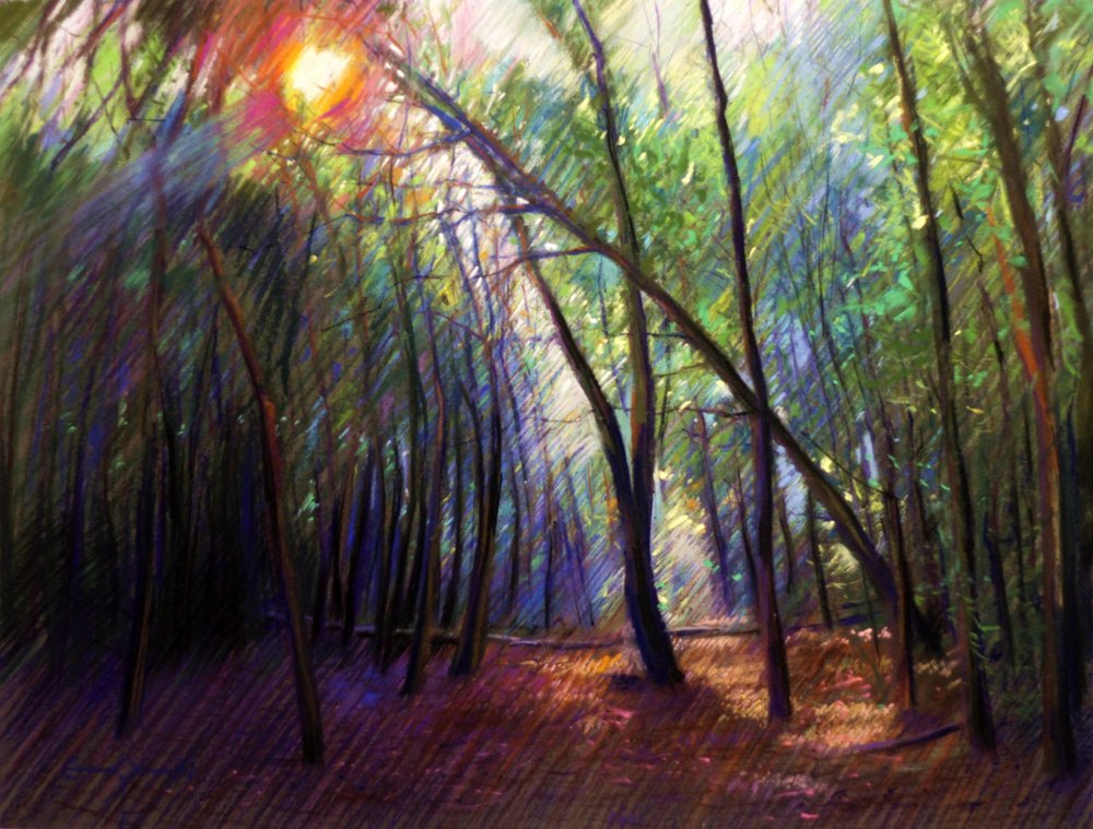 Sunlight Through Trees by Corné Akkers