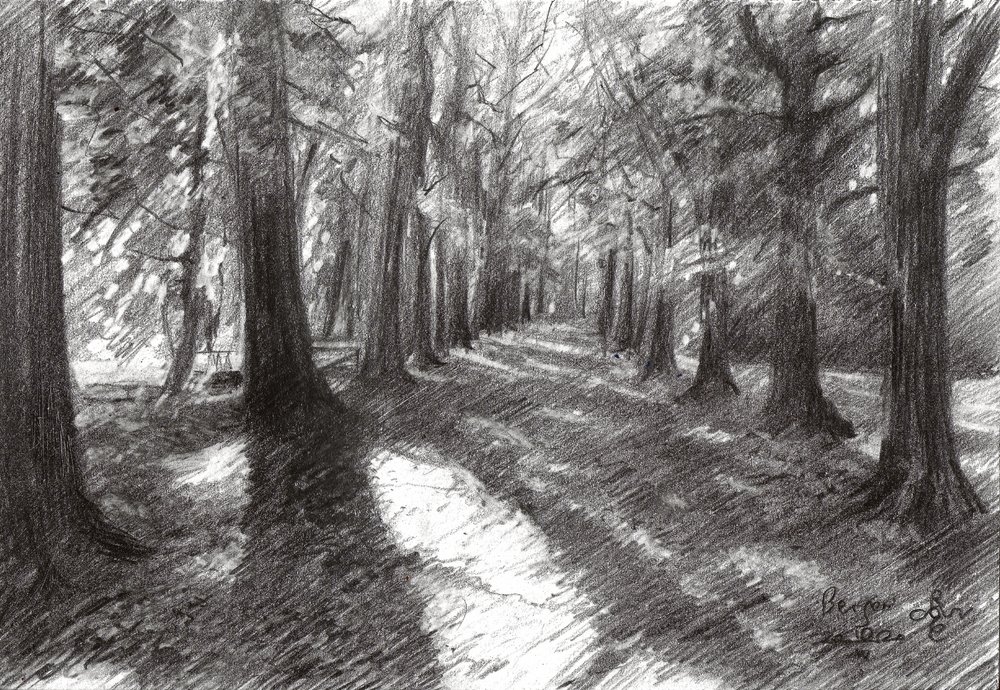 Sunlit Woodland Path by Corné Akkers