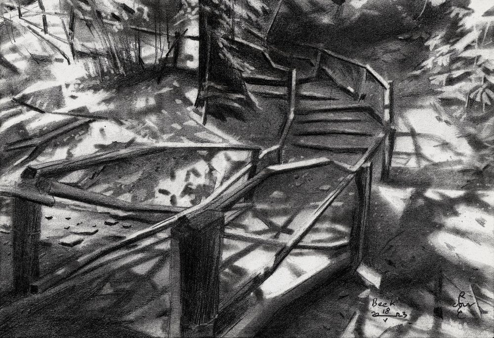 Winding Forest Stairs by Corné Akkers